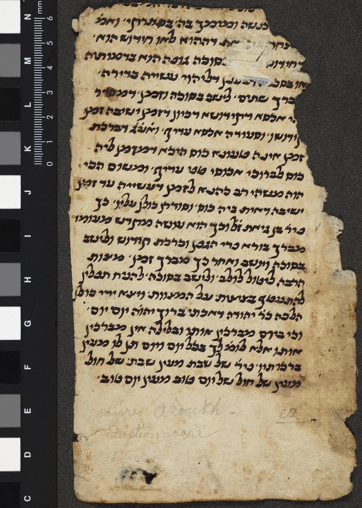 Folio 5b, Gaster Hebrew MS 2031 (Leviticus Fragment)