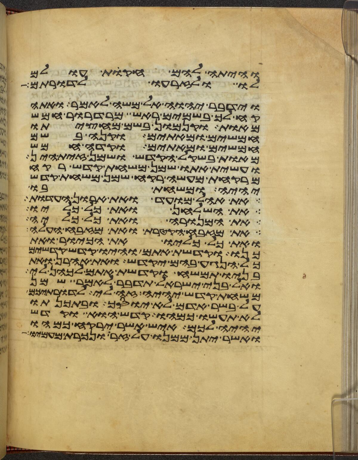 Exodus 30:33 in the Rylands Samaritan Pentateuch (MS 1), folio p250