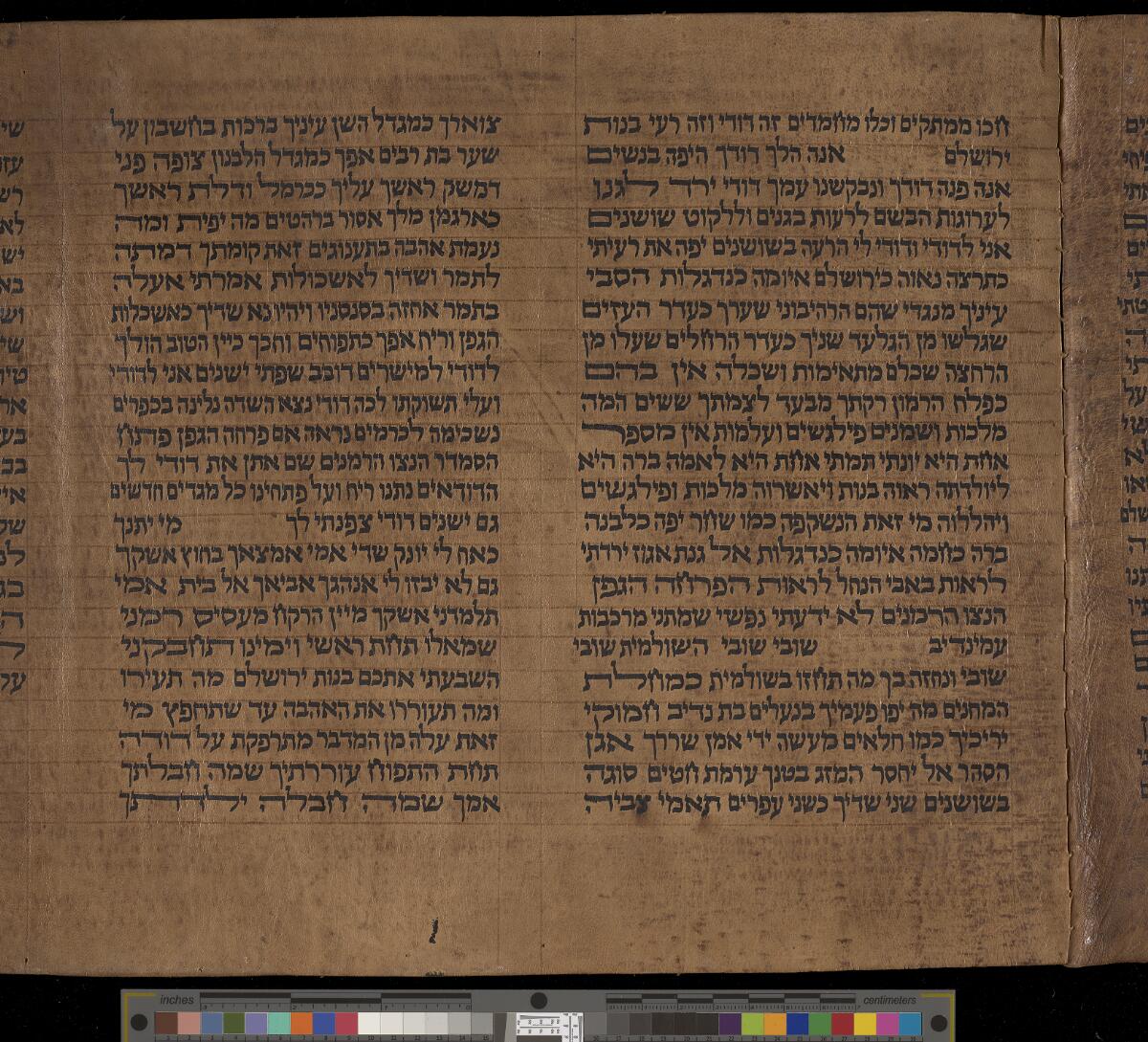 Song of Songs 7:1 in the Gaster Hebrew MS Add 19b (Song of Songs Scroll), folio p003