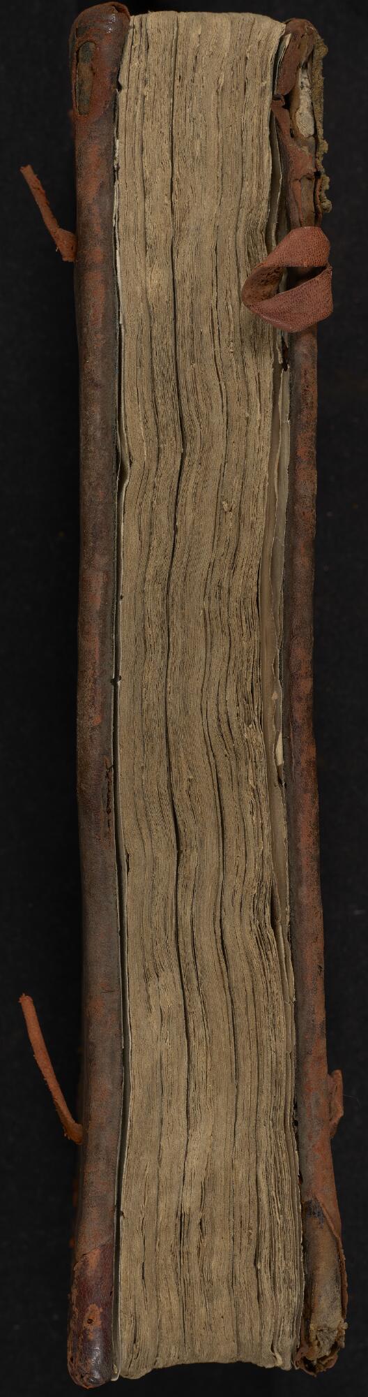 Fore edge, Gaster Hebrew MS 322 (Trilingual Genesis and Exodus)