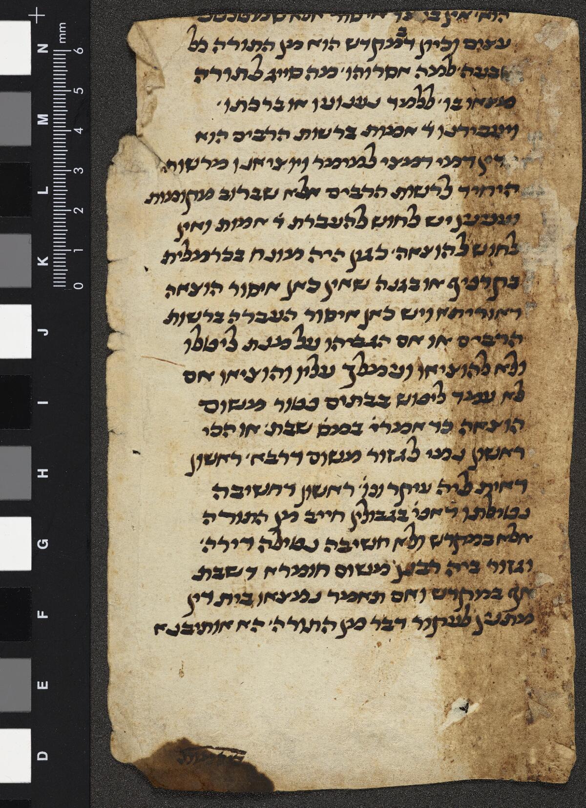 Folio 2b, Gaster Hebrew MS 2031 (Leviticus Fragment)
