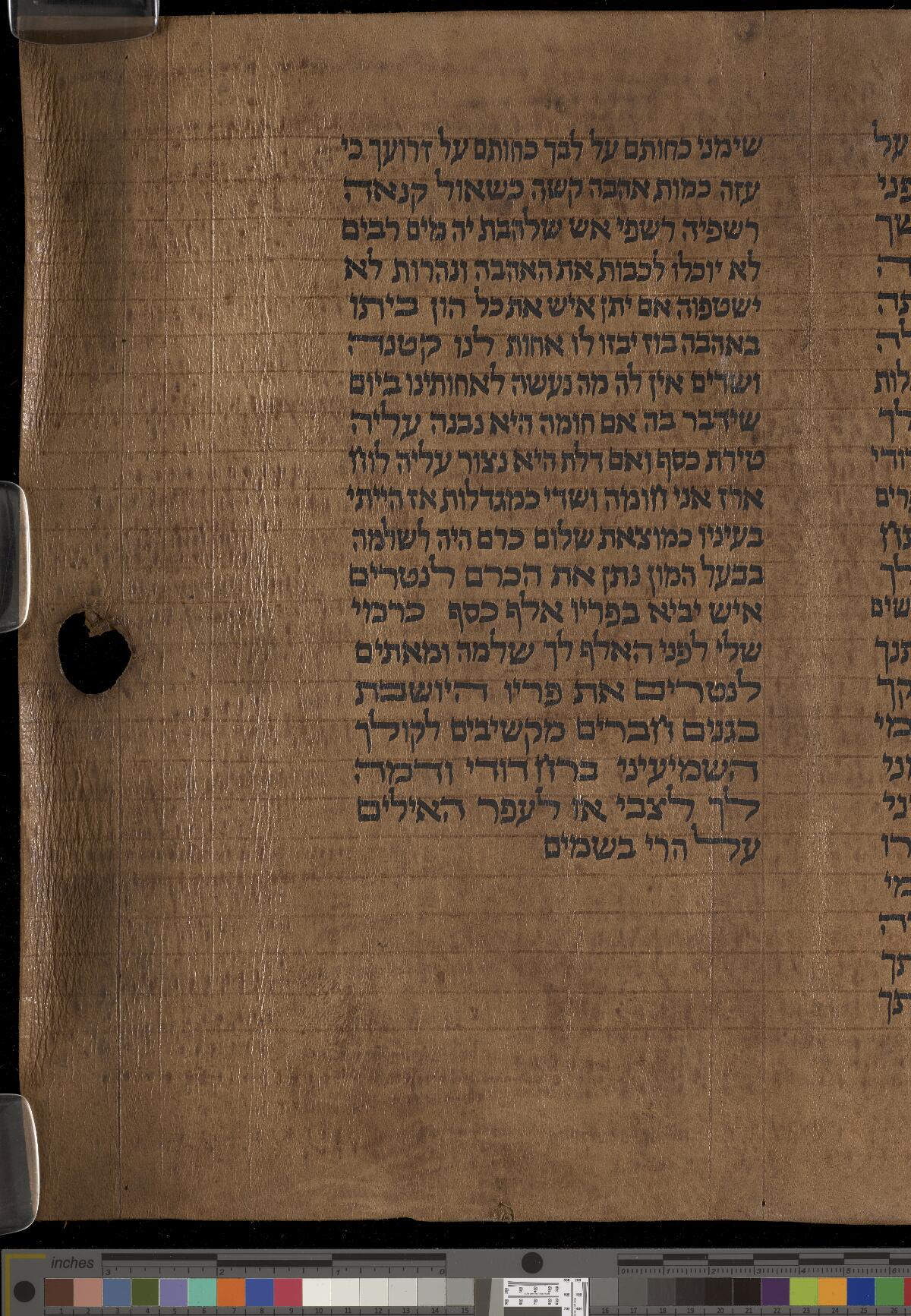 Song of Songs 8:14 in the Gaster Hebrew MS Add 19b (Song of Songs Scroll), folio p004