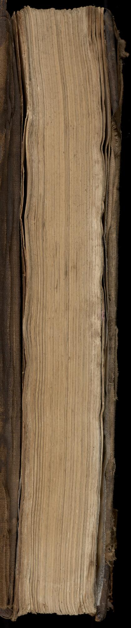 Fore edge, Gaster Samaritan Pentateuch (MS Add 1)