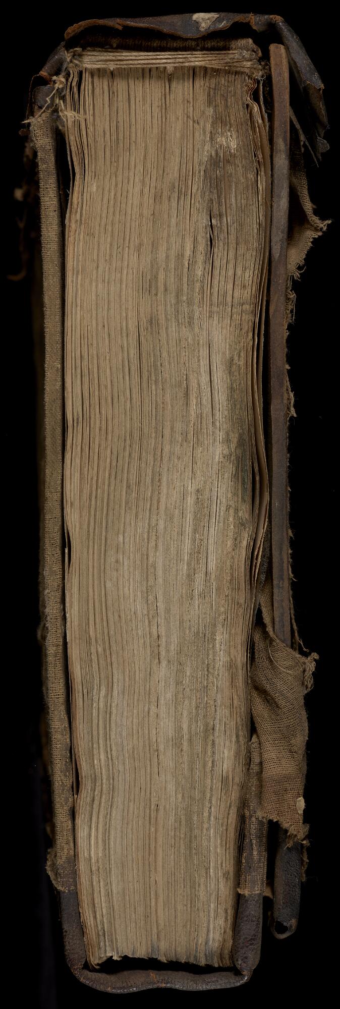 Spine with endbands exposed, Gaster Samaritan Pentateuch (MS Add 1)