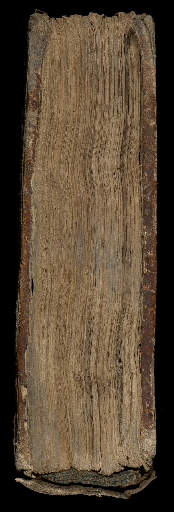 Tail, Gaster Hebrew MS Add 13 (Trilingual Haftarot)