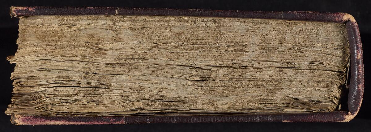 Head, Gaster Hebrew MS 86 (Writings)