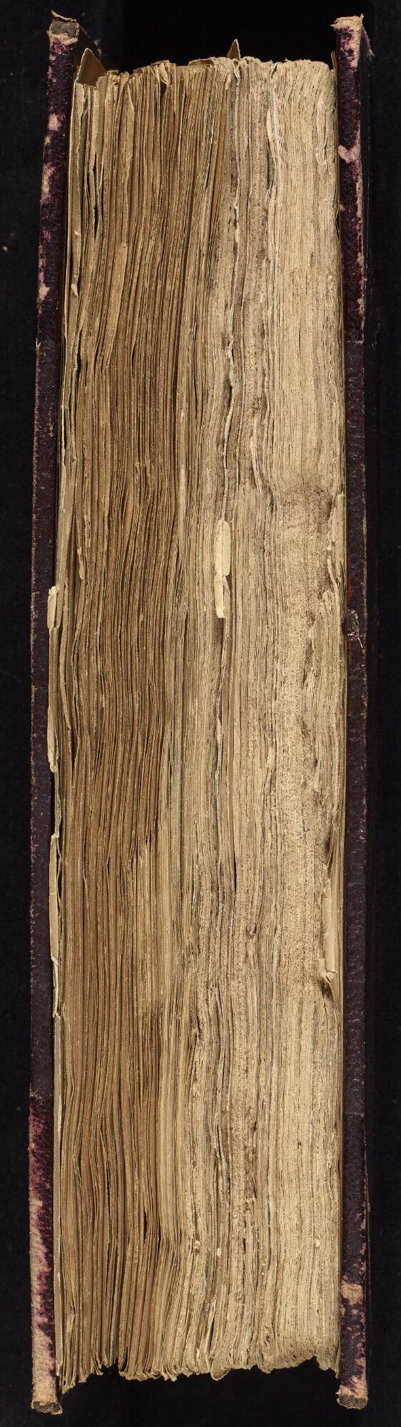 Fore edge, Gaster Hebrew MS 86 (Writings)