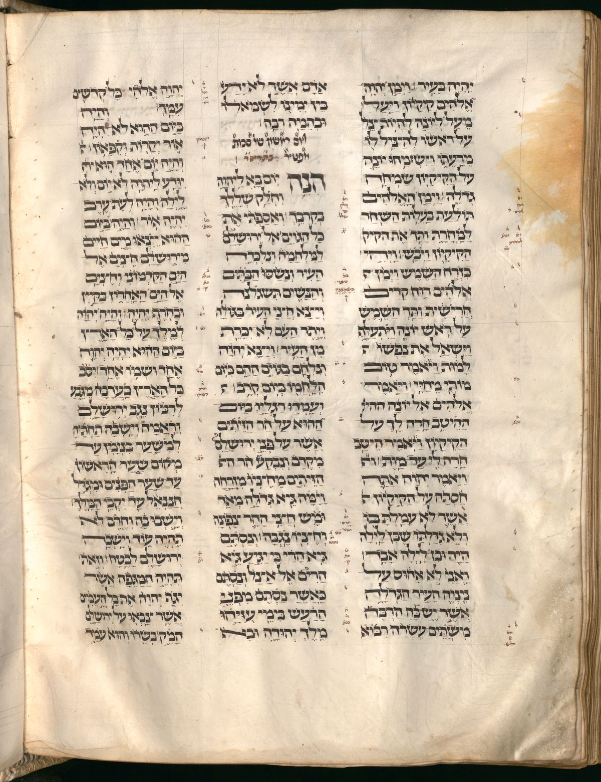Zechariah 14:1 in the Munich Cod. hebr. 2 (Pentateuch, Scrolls, and Haftarot), folio p610