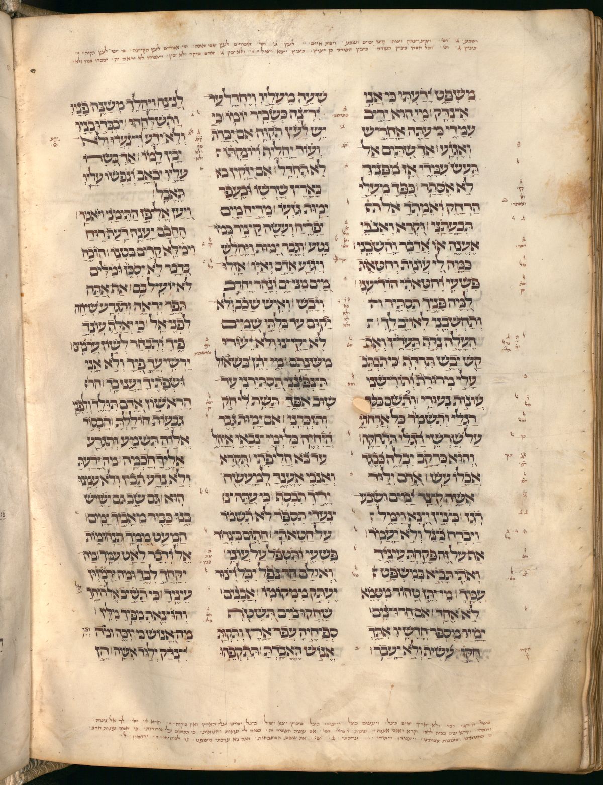 Job 14:9 in the Munich Cod. hebr. 2 (Pentateuch, Scrolls, and Haftarot), folio p624