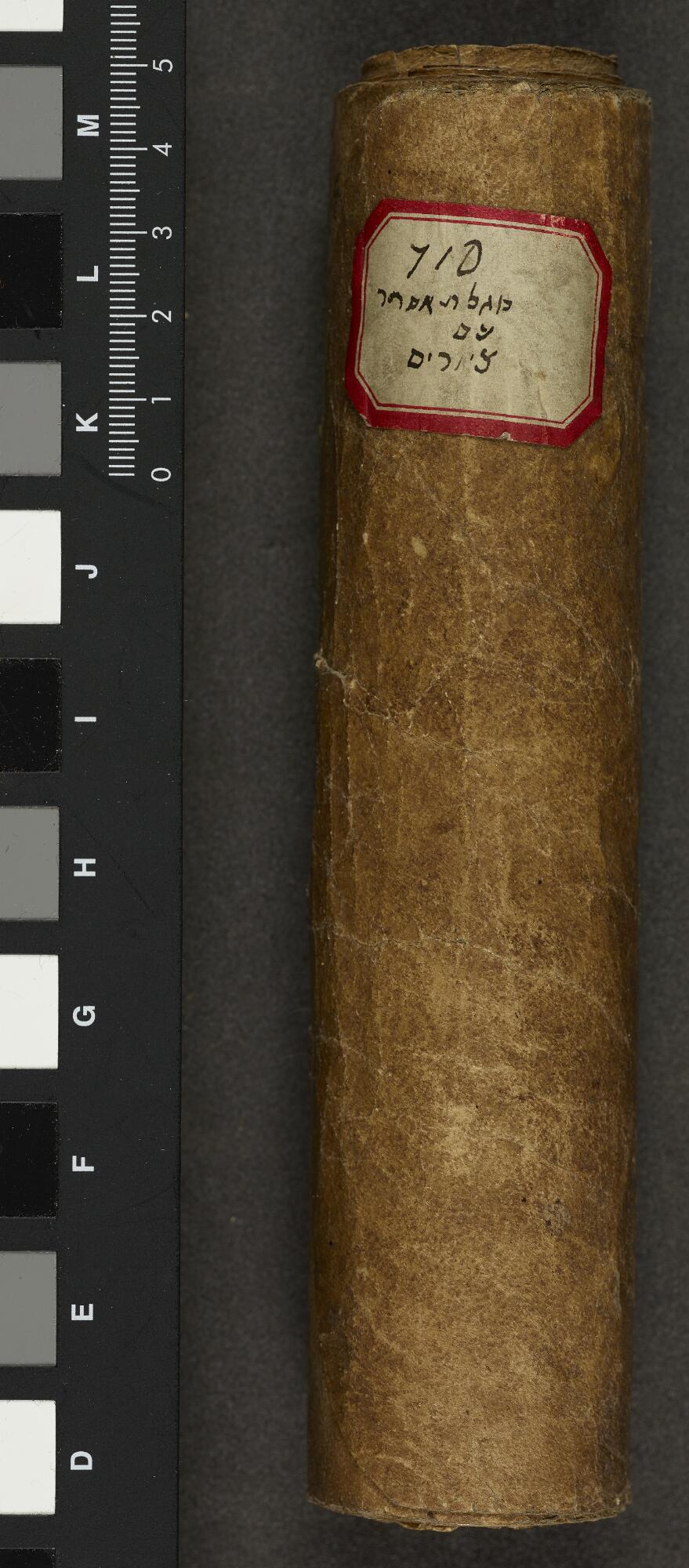 Rolled scroll and handwritten label, Gaster Hebrew MS 710 (Illustrated Esther Scroll)