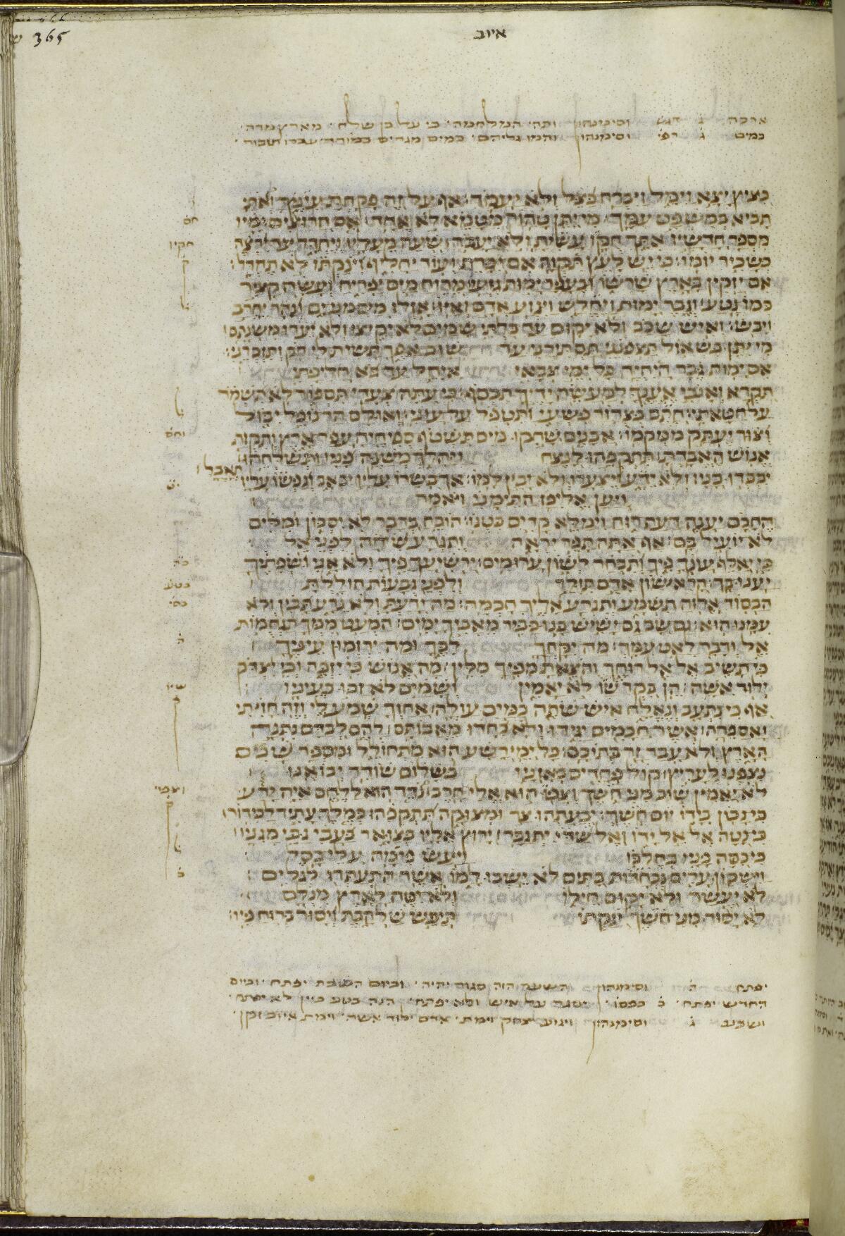 Job 14:9 in the Manchester Hebrew MS 36 (Masoretic Bible), folio p735