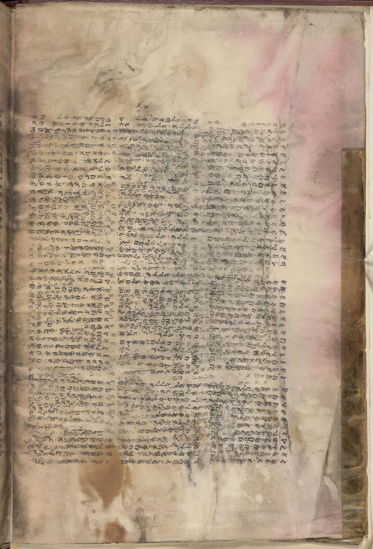 Genesis 1:1 in the Gaster Trilingual Samaritan Pentateuch (MS 814), folio p008