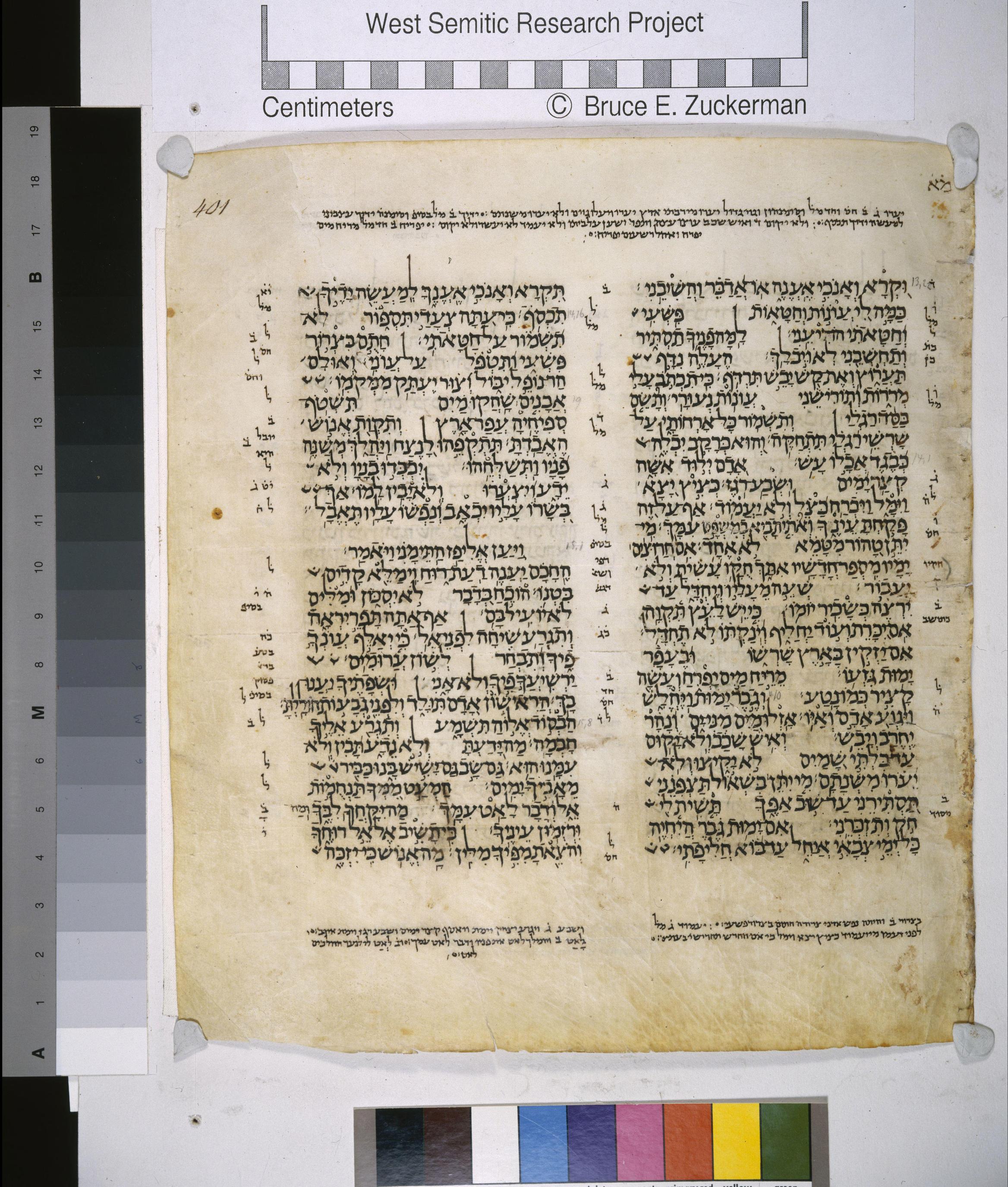 Job 14:9 in the Leningrad Codex, folio 401A