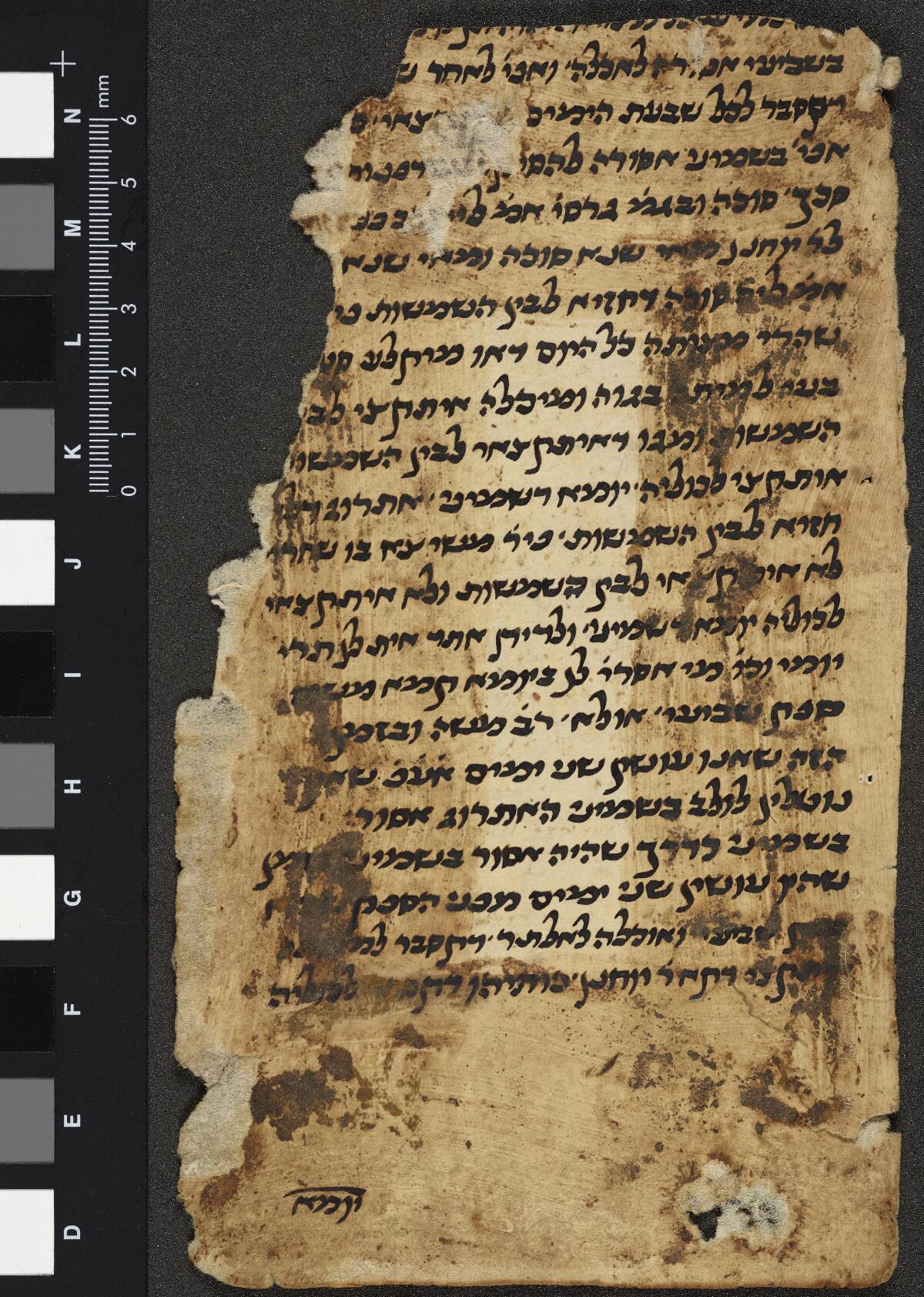 Folio 5a, Gaster Hebrew MS 2031 (Leviticus Fragment)