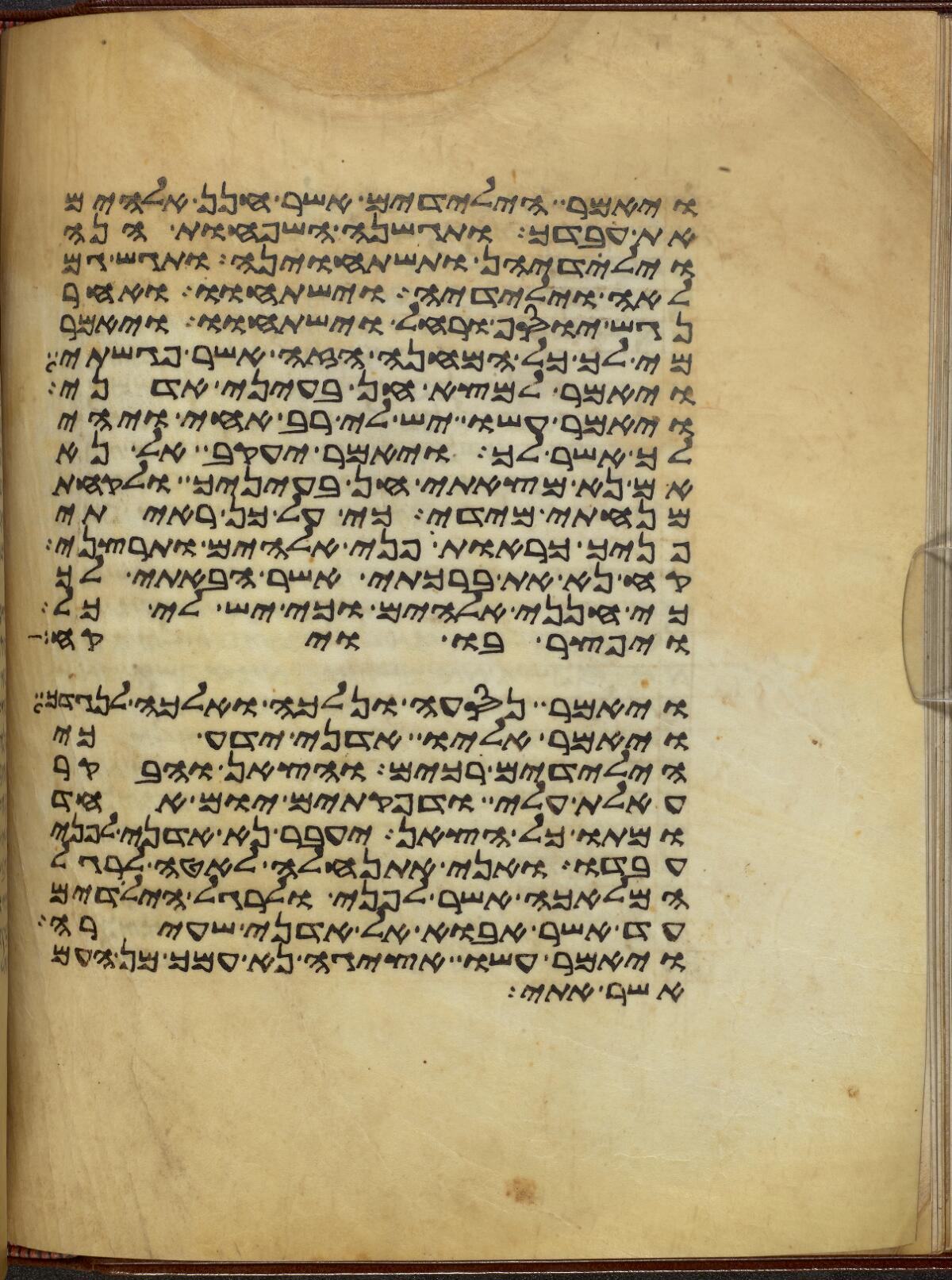 Genesis 33:6 in the Rylands Samaritan Pentateuch (MS 1), folio p094